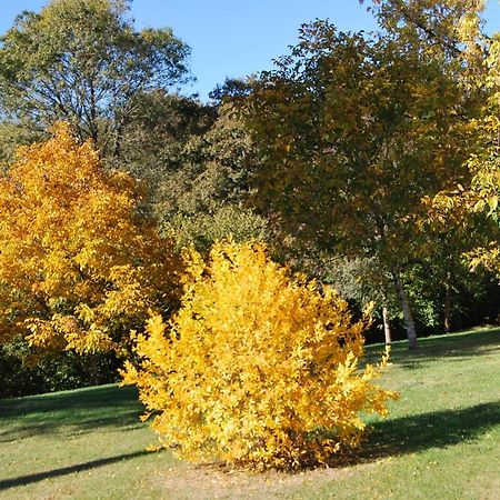 לינה וארוחת בוקר Cleyrac Domaine La Bastide מראה חיצוני תמונה