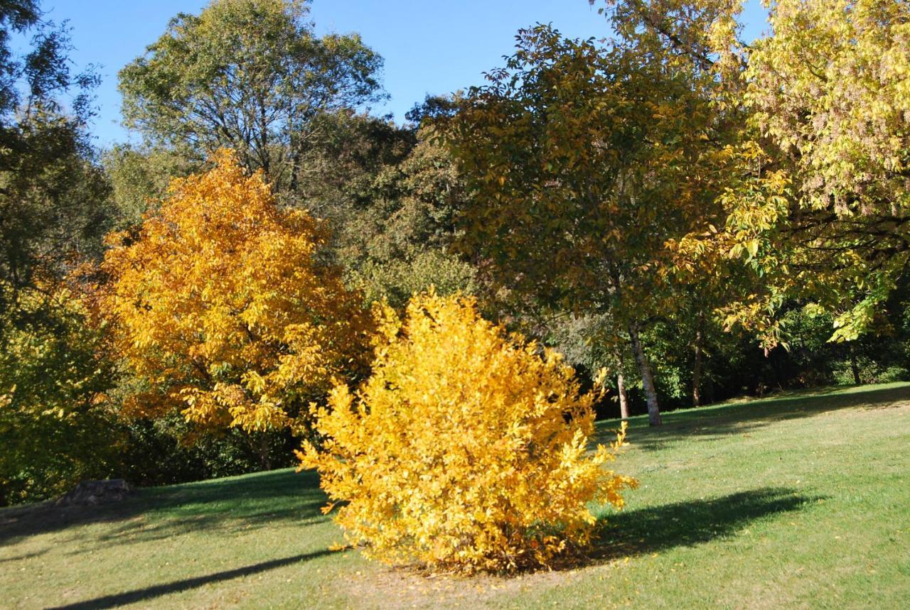 לינה וארוחת בוקר Cleyrac Domaine La Bastide מראה חיצוני תמונה